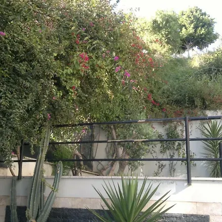Kucuk Hasbahce Caddesi * Alanya